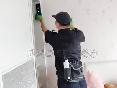 守護南城家園 專業白蟻防治服務，構筑安全防線