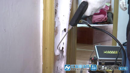 白蟻分飛高峰將至，南通應用新技術提升防治服務水平